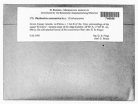 Image Associated With the Occurrence